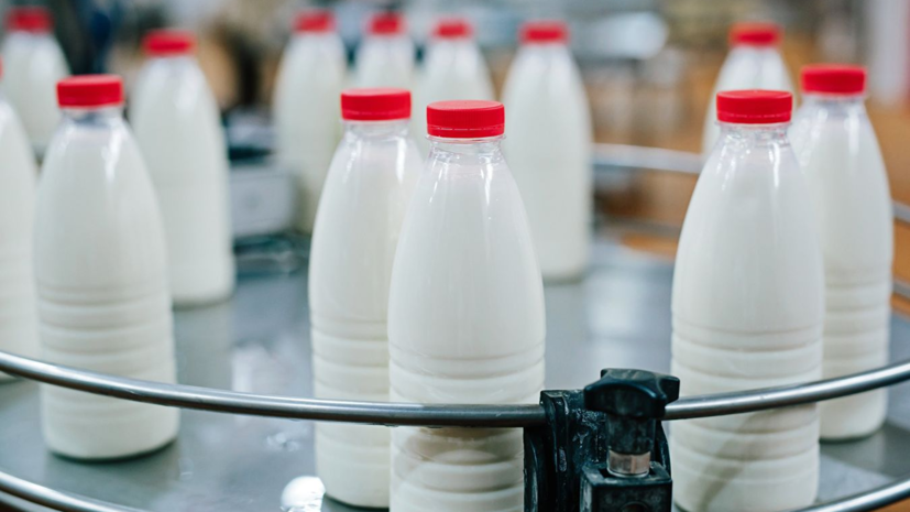 exportação de leite e seus laticínios